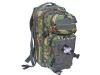 28 Ltr Molle Assault